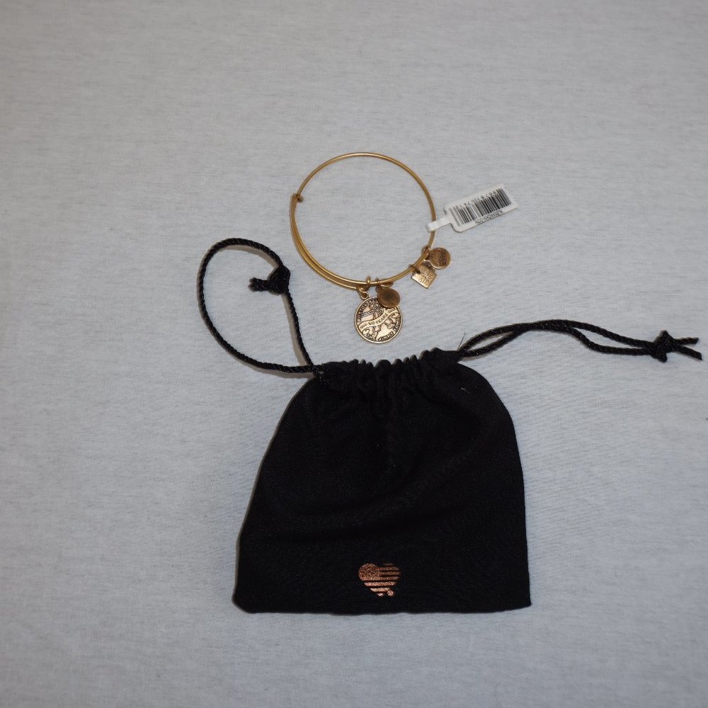 ALEX and ANI Boston Jimmy Fund Bangle NWT